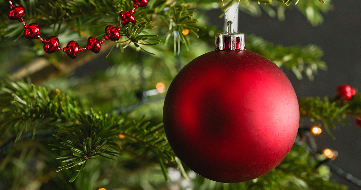 Piros gömb karácsonyfa dísz a fenyőfán