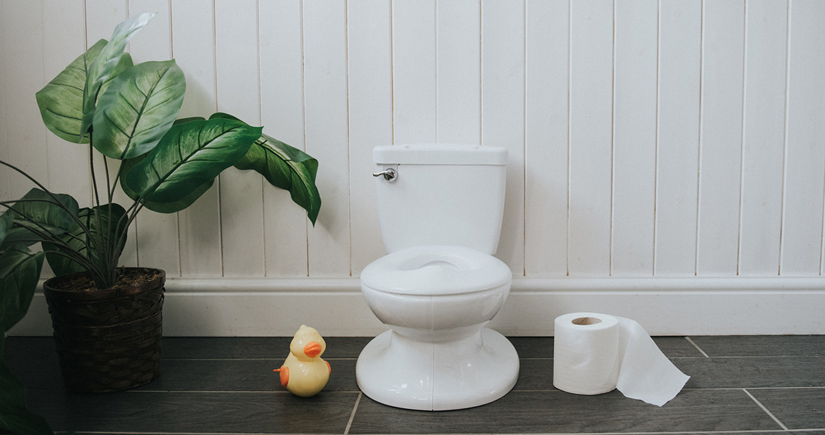 Kis vécé vécépapír kacsa szobanövény