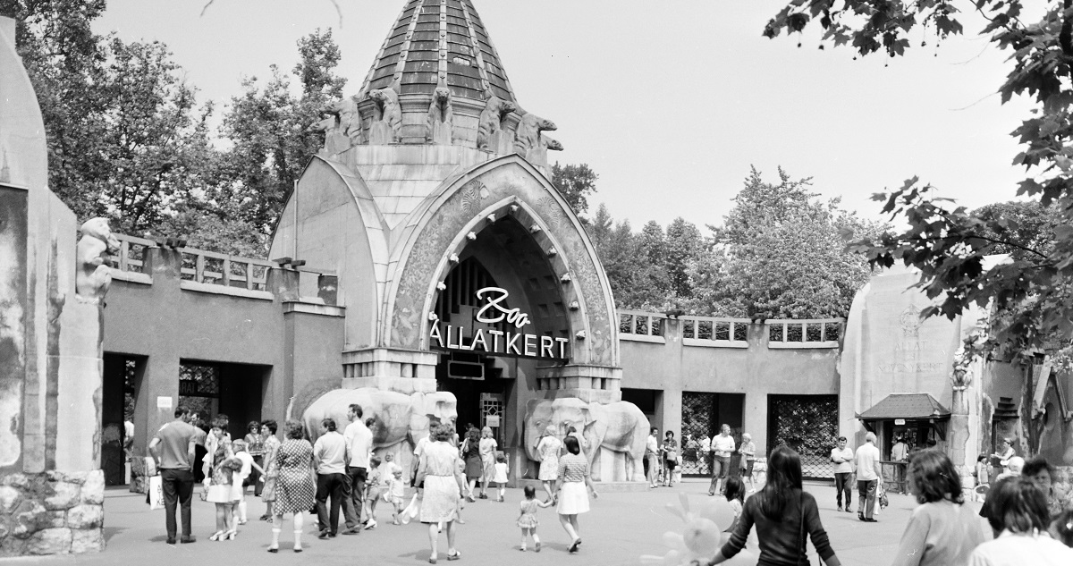 Az Állatkert főbejárata 50 éve