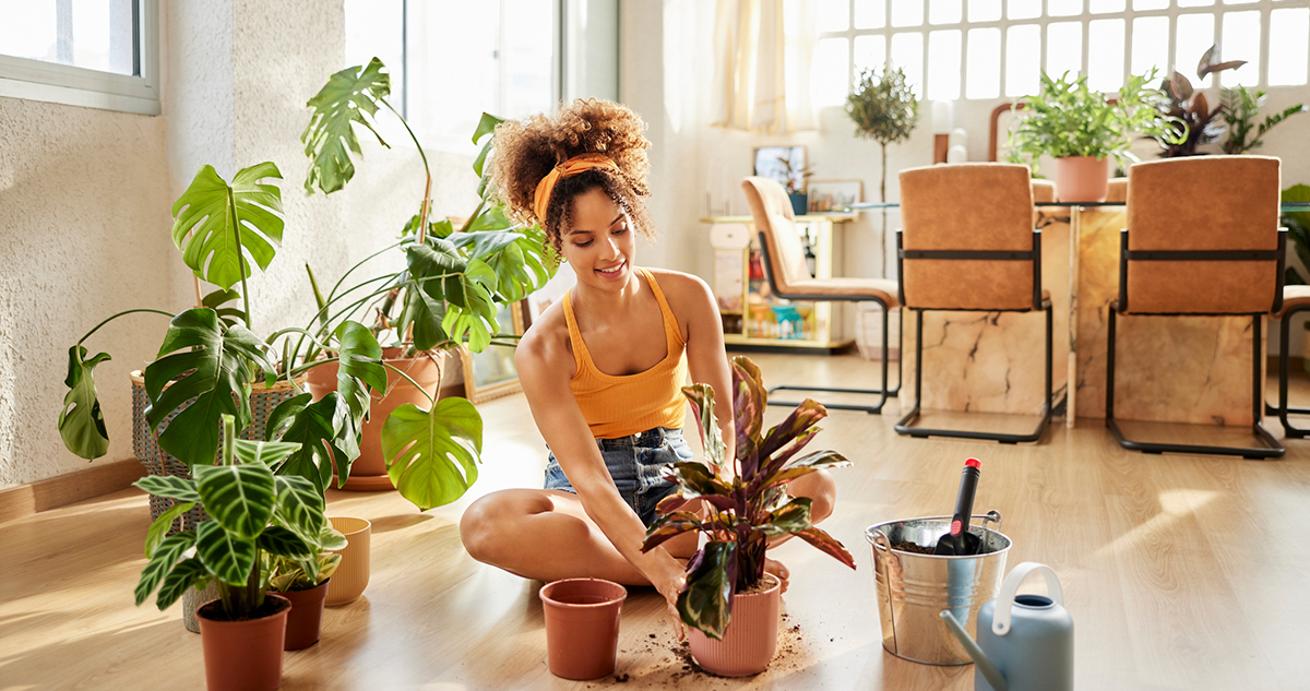 fiatal nő növényeket ültet lakásban