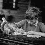 1944 Egy kisfiú mókusa társaságában írja a házi feladatát