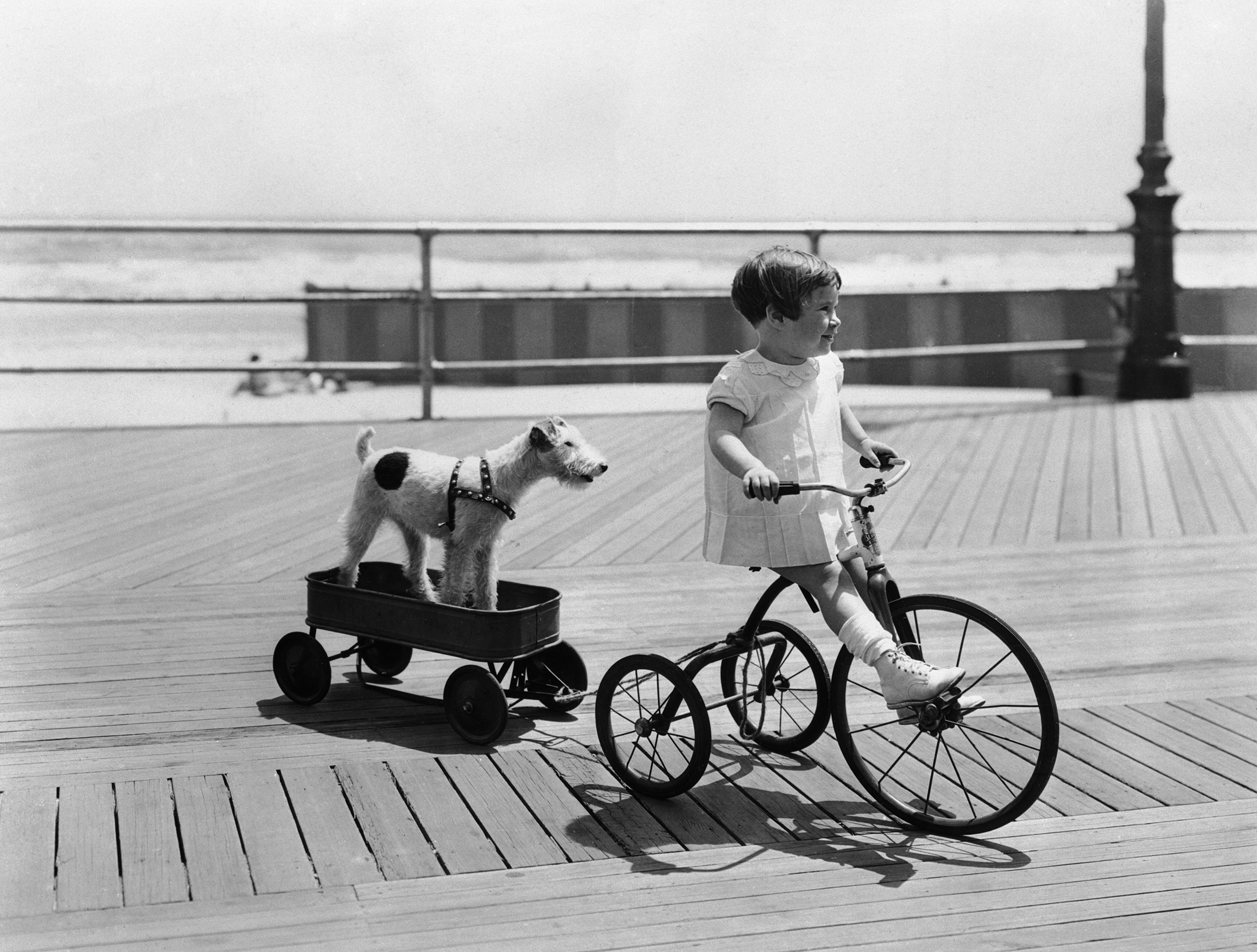 Kislány a kutyusával biciklizik
