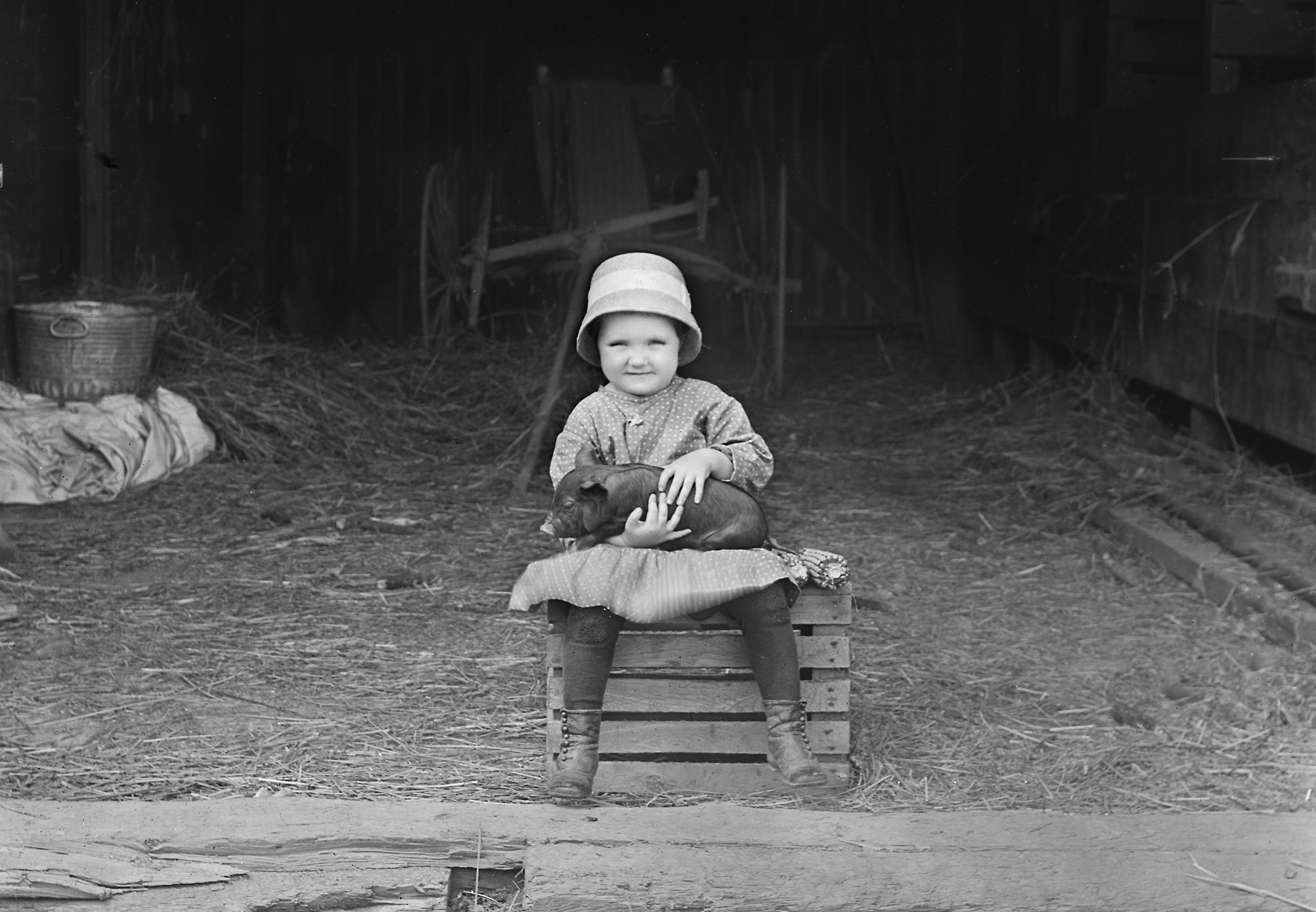 Egy kislány egy kisdisznót tart az ölében valamikor az 1900 as években