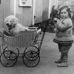 1940 Egy kislány babakocsiban tolja a kutyáját