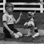 Egy kisfiú a kutyusát idomítja