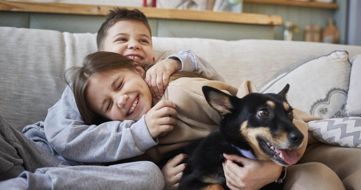 testvérek kutyával