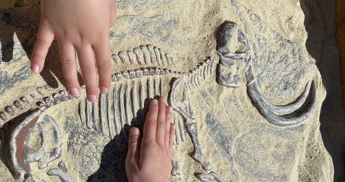 gyerekek egy mammut maradványaival