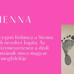 Sienna név jelentése