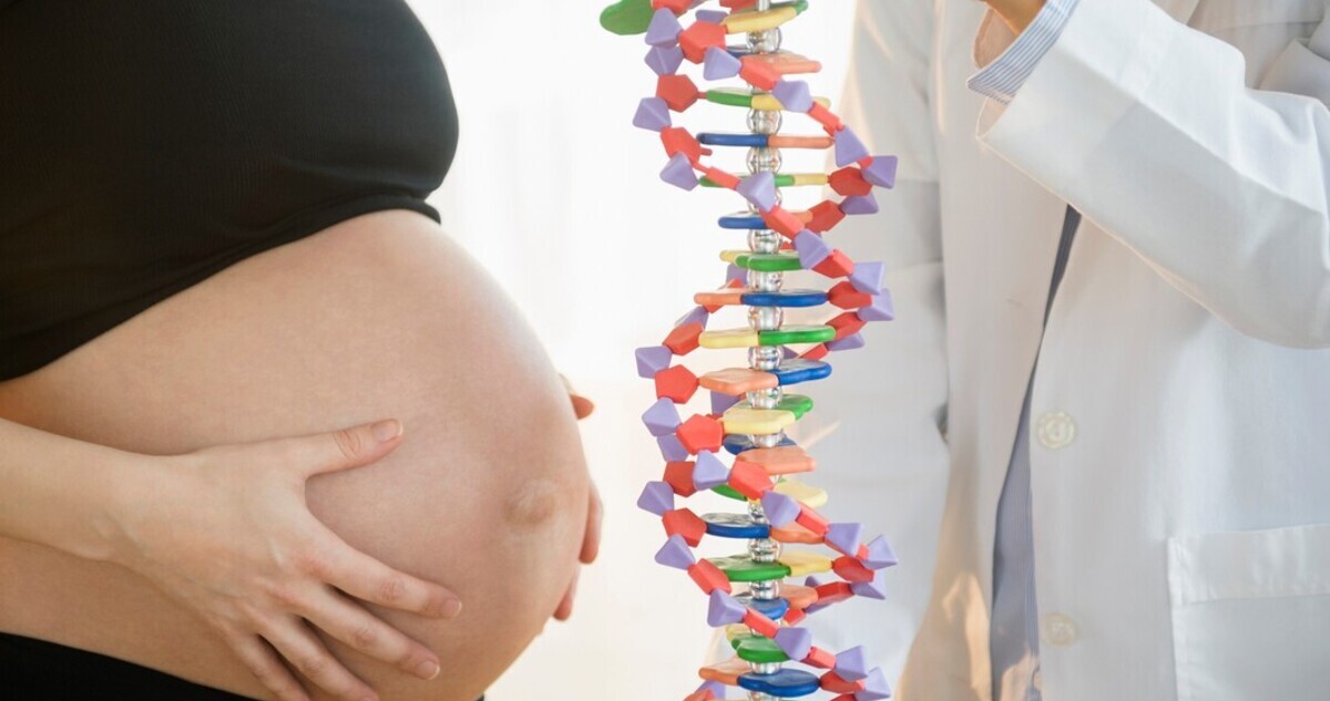 terhes nő és DNS