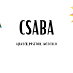 CSaba név jelentése