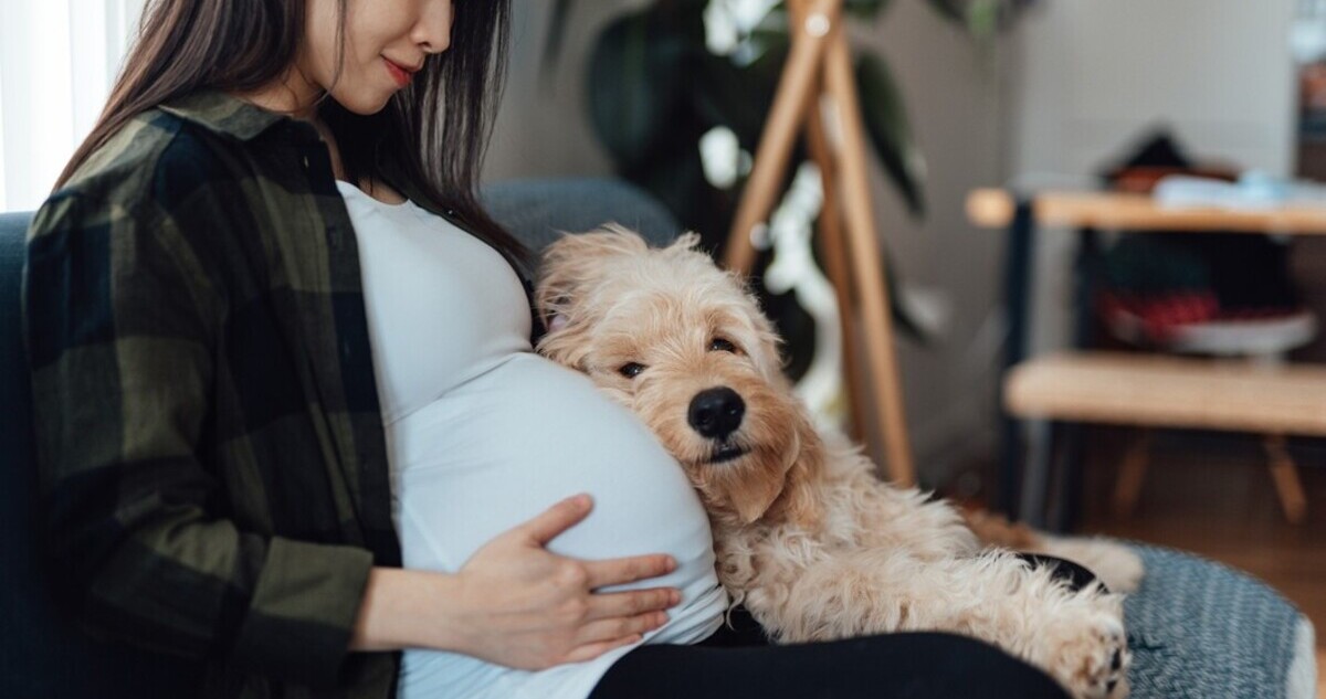 terhes nő kutyával