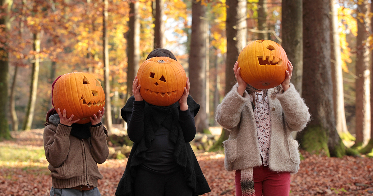Tökfaragás, gyerekek állnak az őszi erdőben halloween töklámpással az arcuk előtt