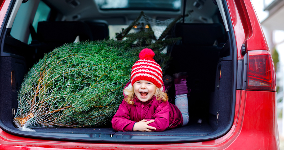Karácsonyfa az autóban gyerekkel
