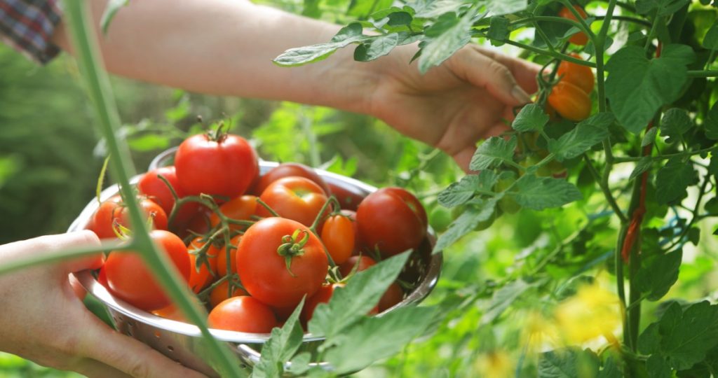(Kép forrása: Getty Images)