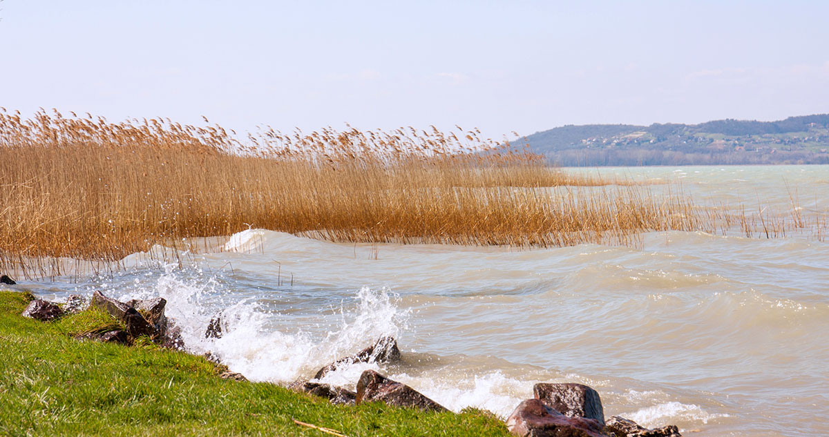 Balaton