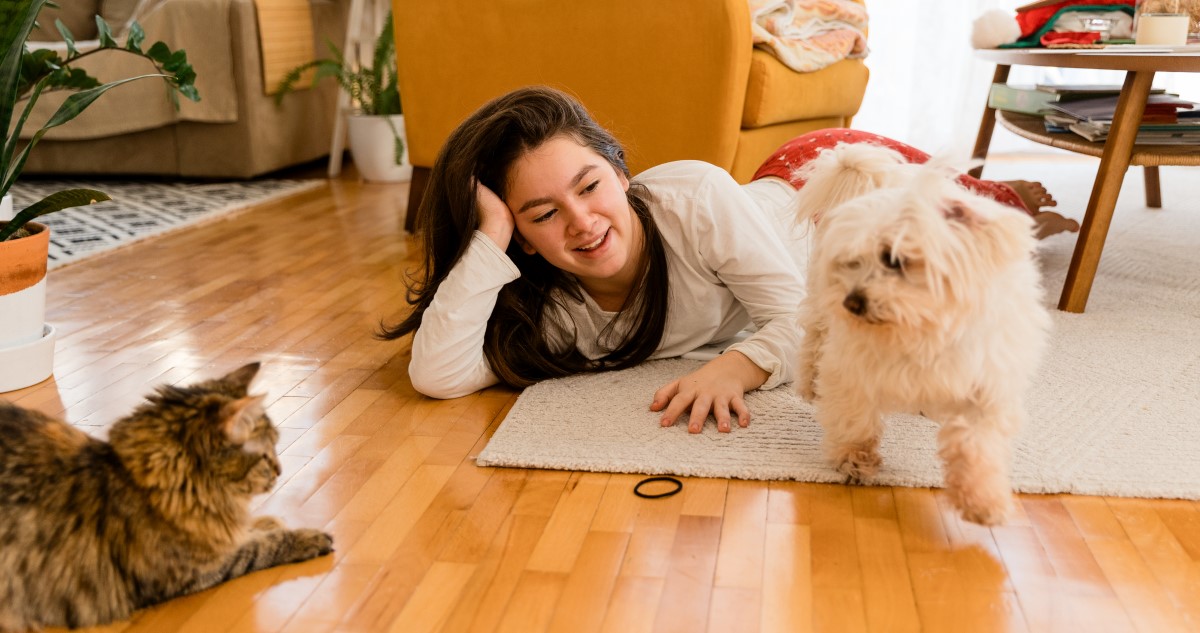 kislány cicával és kutyával játszik a szobában