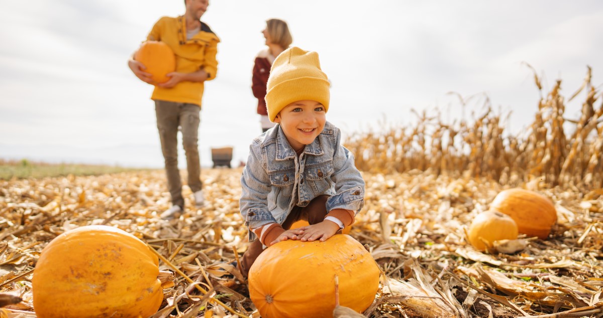 család tökföldön