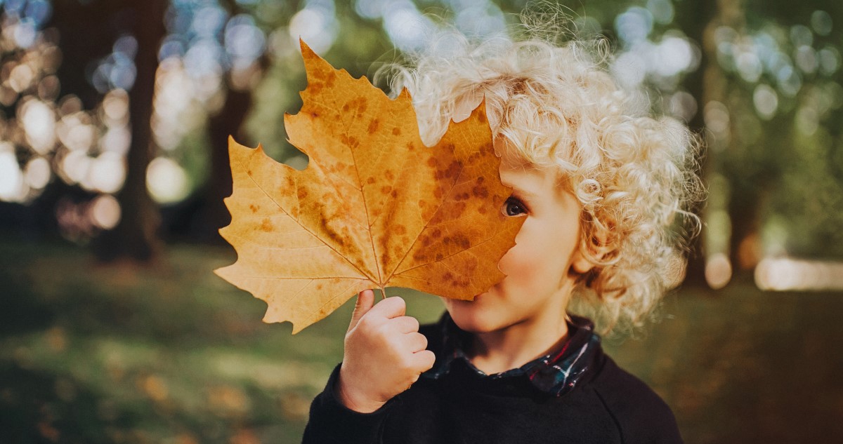 kisgyerek falevéllel az őszi erdőben