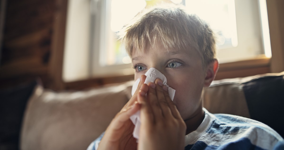 orrot fúj a kisfiú