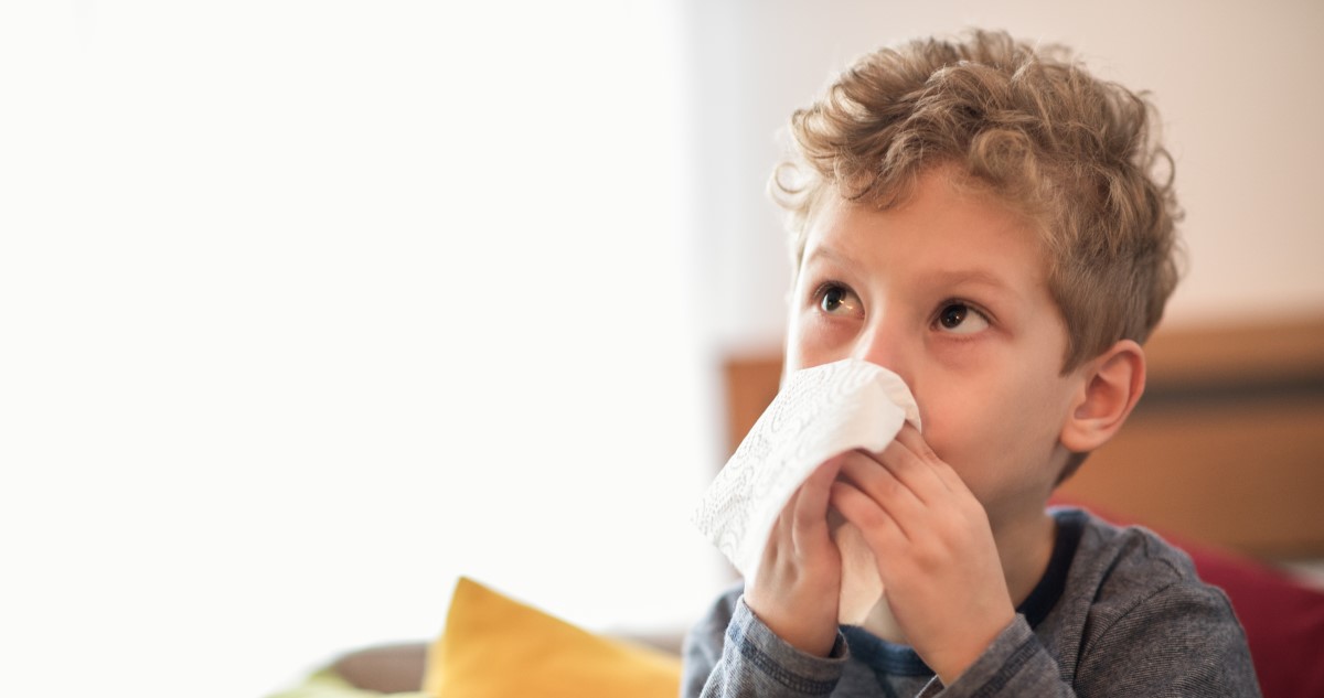 kisfiú orrot fúj