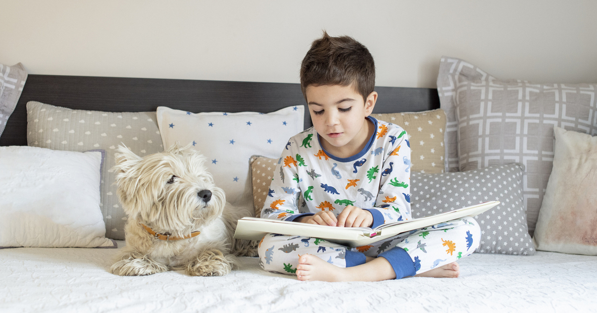 kutya gyerek kis lakás