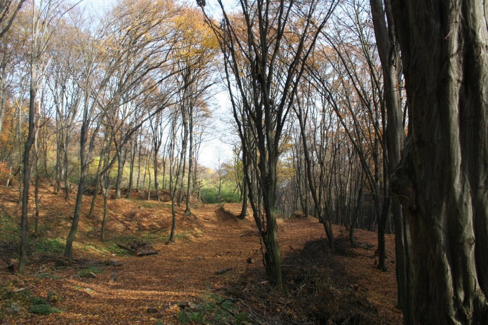 aprily-volgyi - Gyerekszoba Áprily-völgyi Rege-termő tanösvény