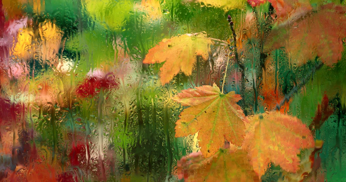 őszi esőtől vizes ablak