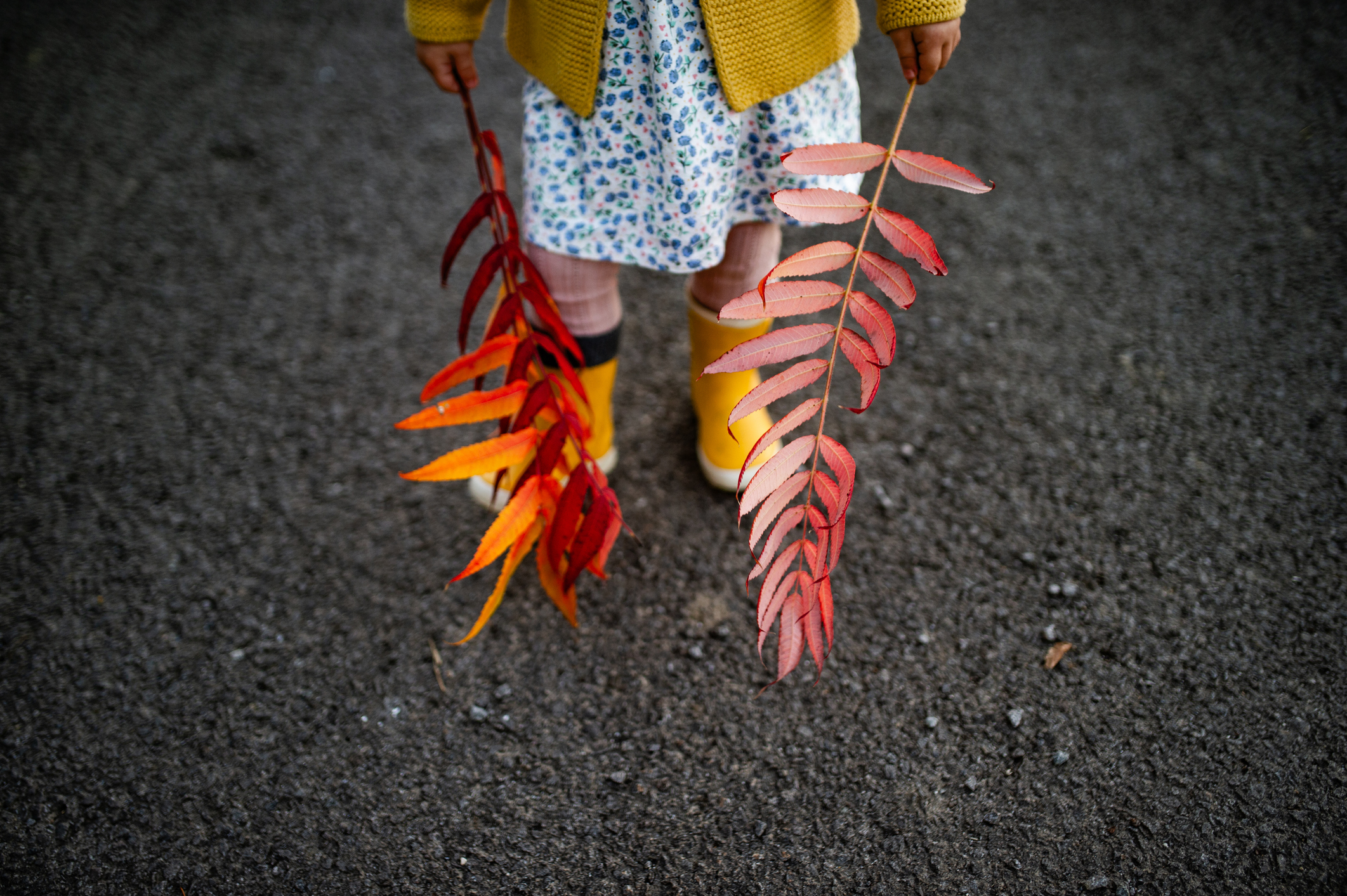 őszi levelek kislány kezében