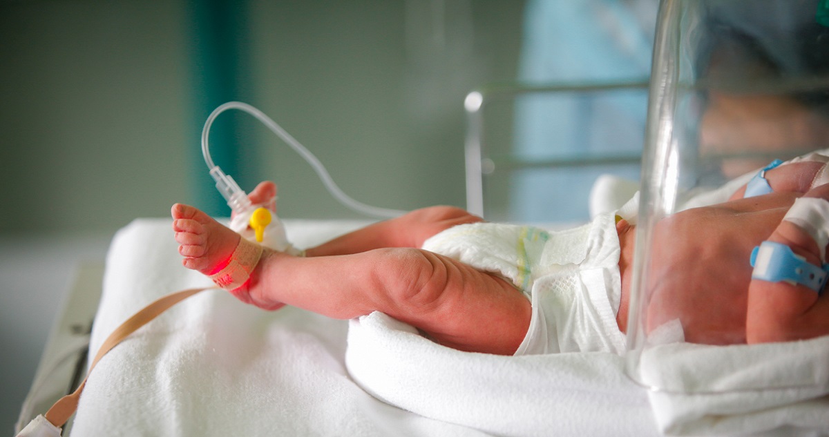 Fotó: Getty Images - CatEyePerpective