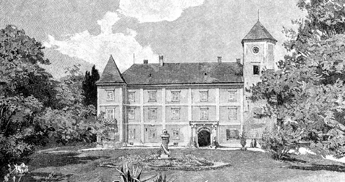 Magyarország legidősebb fája - Gyerekszoba Fotó: Getty Images - Nastasic