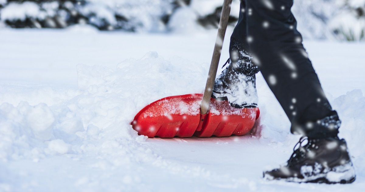 Fotó: Getty Images - WDnet