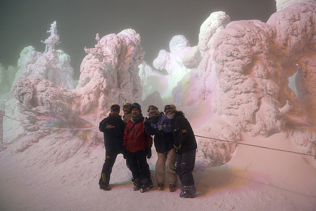 Jég és hó borítja a fenyőket a Zao síközpontban - fotó: Getty