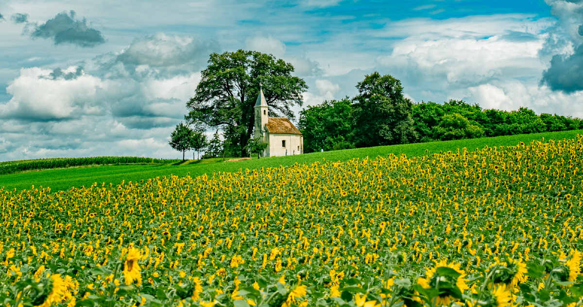 lassú élet, nyaralás - Gyerekszoba lassú élet, nyaralás