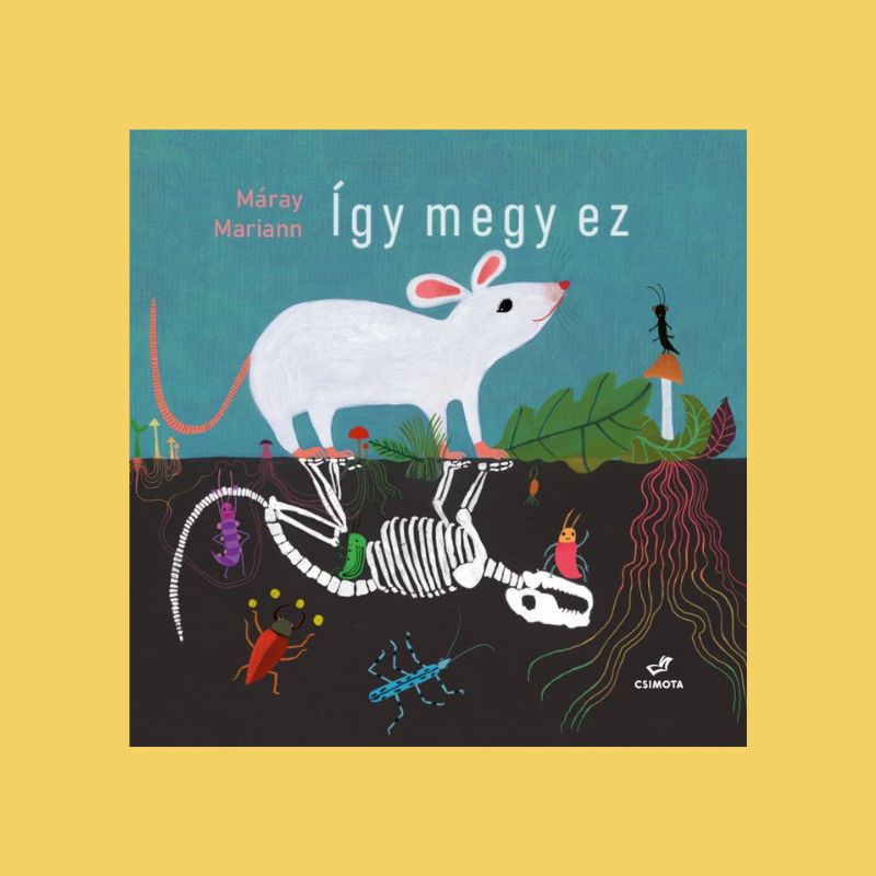 Máray Mariann - Így megy ez Kép forrása csimotahu - Gyerekszoba - Gyerekszoba