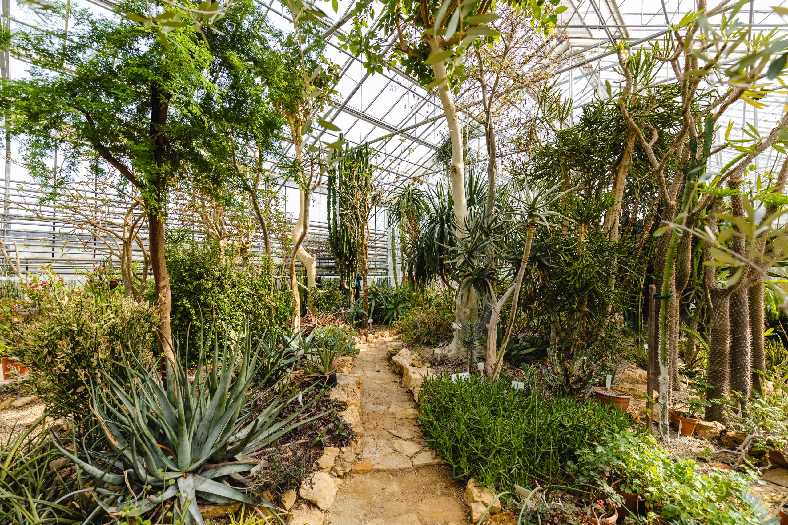 Vácrátóti Botanikus kert 