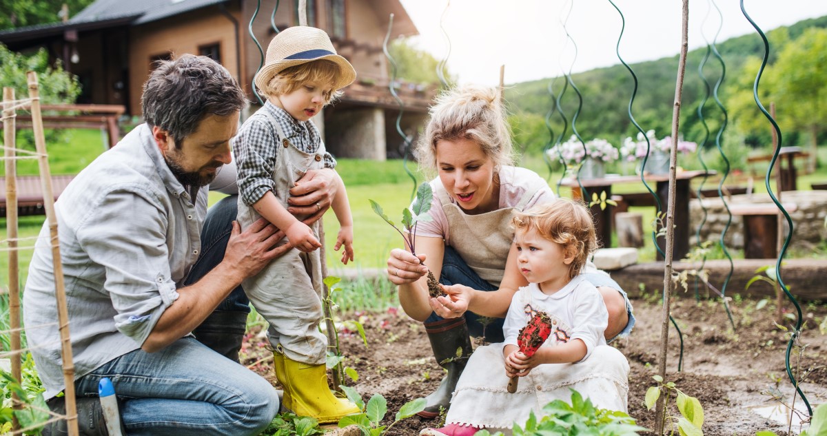 családi kertészkedés tavasszal