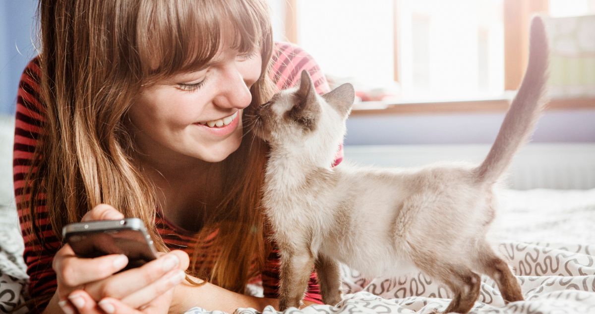 Kiscica lányhoz dörgölőzik