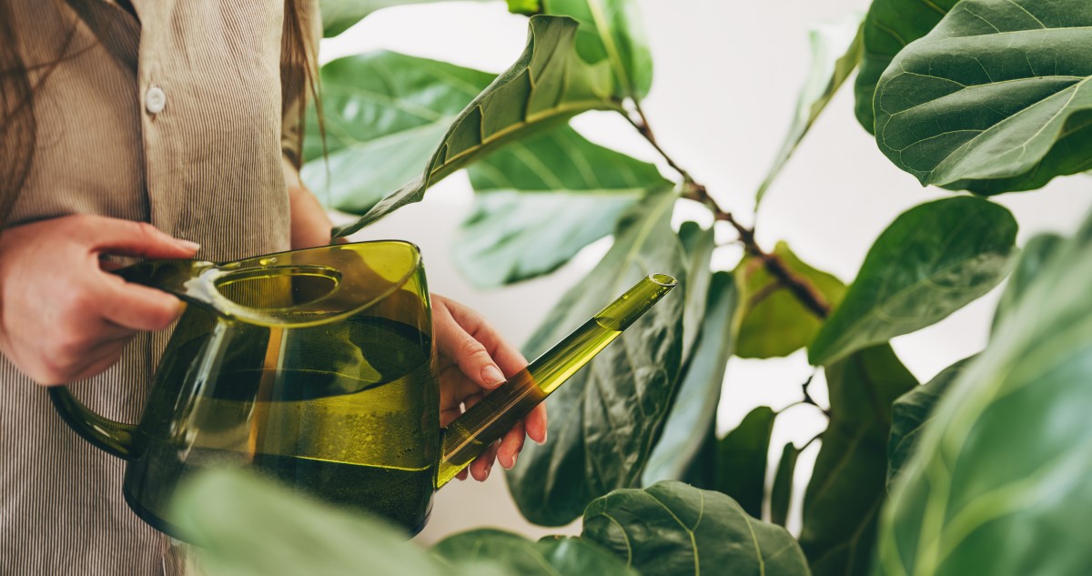 zöld öntözőkannával szobanövényeket locsol egy nő