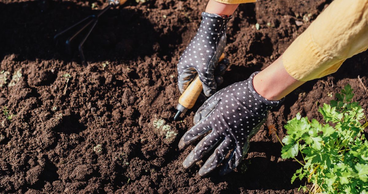 kesztyűben földet dolgoz meg
