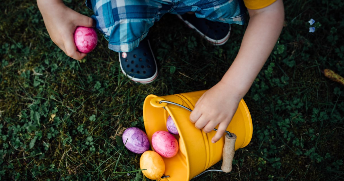 tojasvadaszat - Gyerekszoba tojásvadászat kisfiú vödörbe gyűjt színes tojásokat