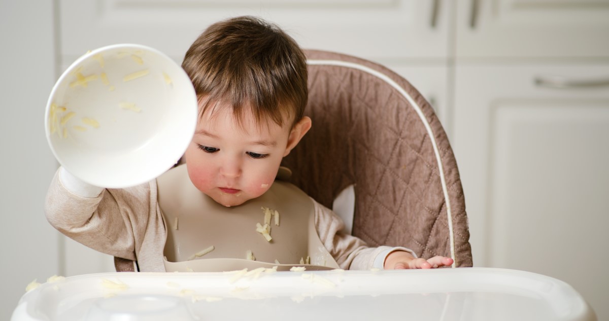 kisfiú evés után eldobja a tányért