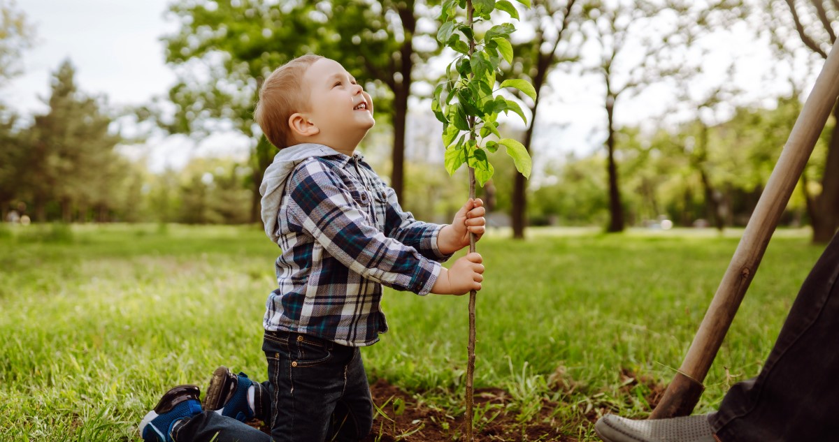 kisfiuval kisfaval - Gyerekszoba kisfiú fát ültet a kertben