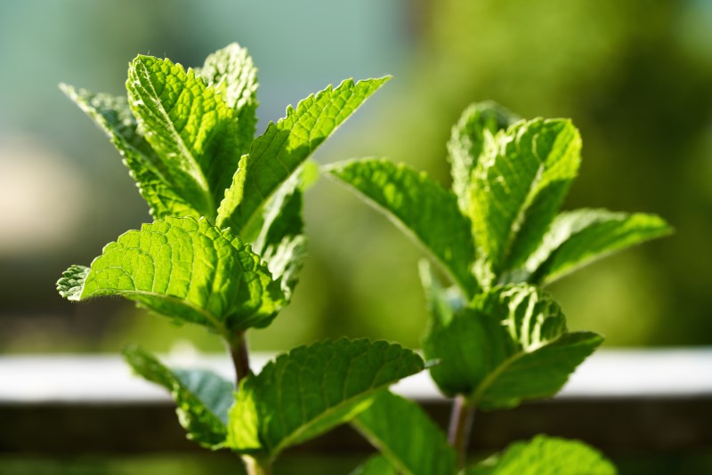 ments - Gyerekszoba - Gyerekszoba