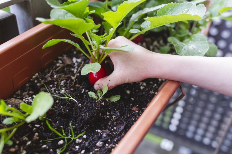 retek - Gyerekszoba - Gyerekszoba