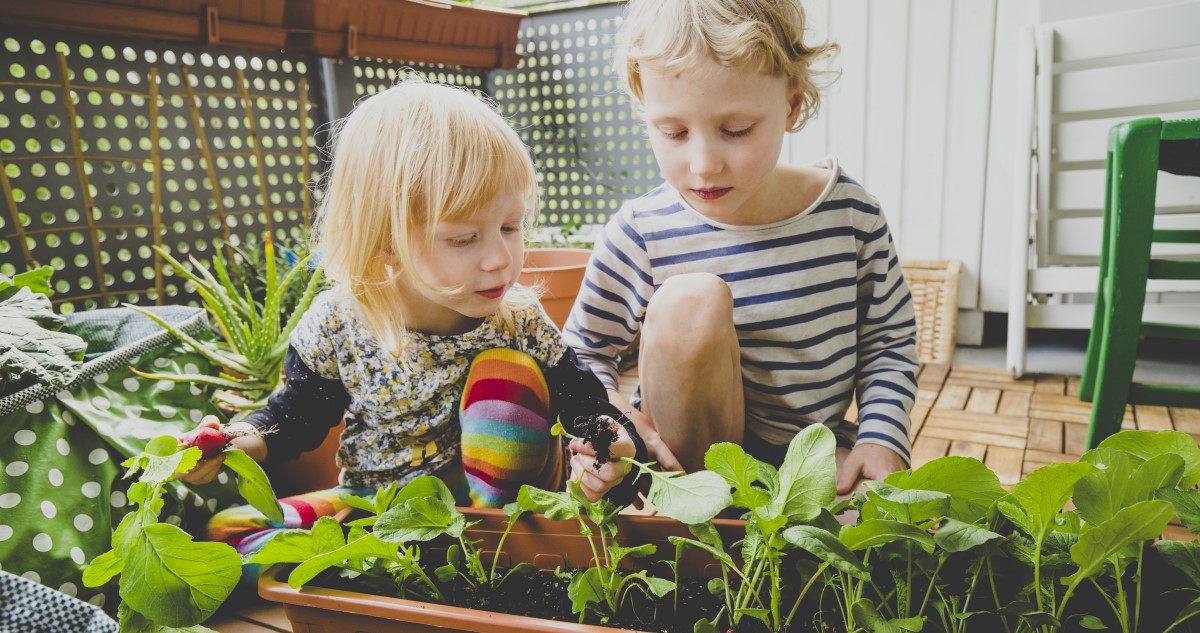 testvérek retket szednek az erkélyen a balkonládából