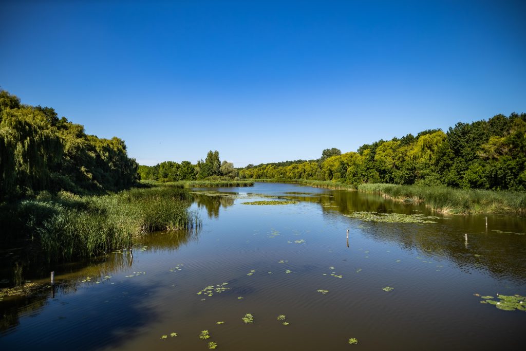 Kányavári-sziget