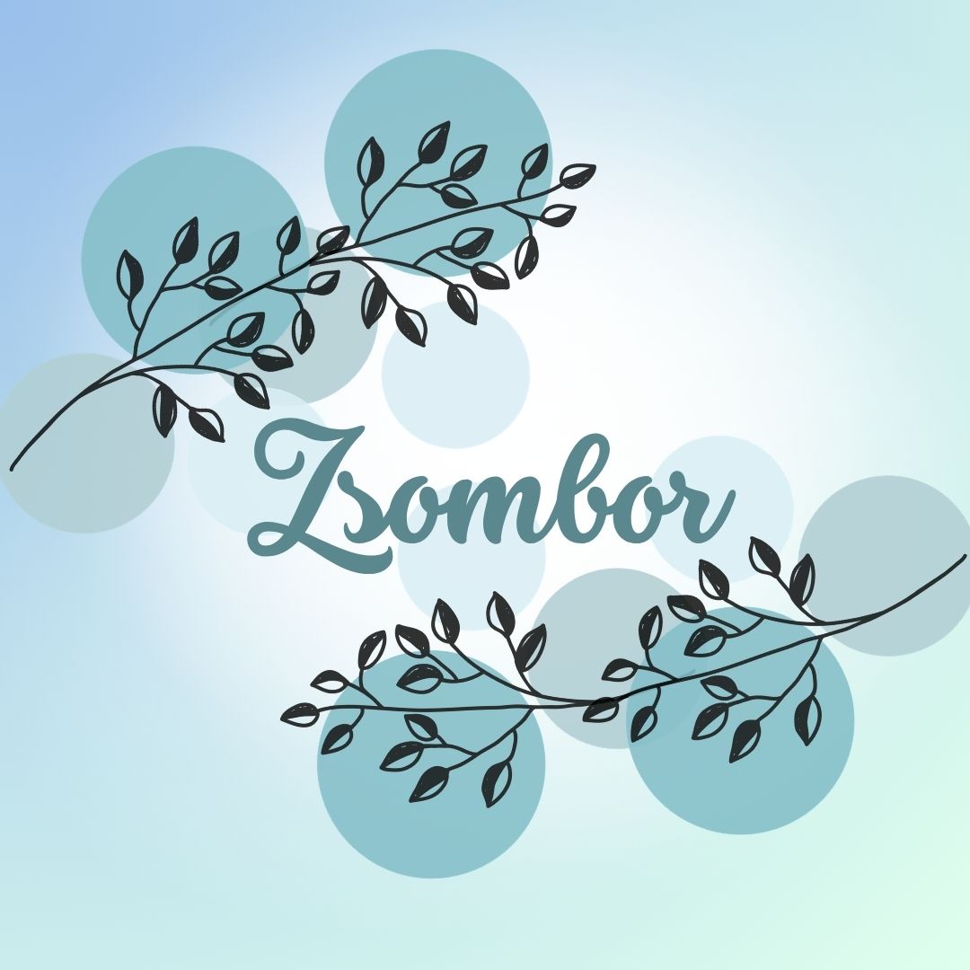 Zsombor - Gyerekszoba - Gyerekszoba