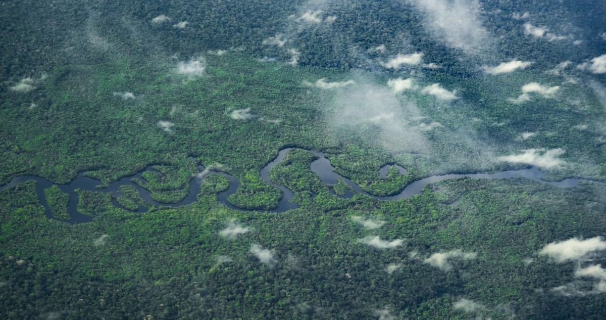 amazonas esőerdő madártávlatból