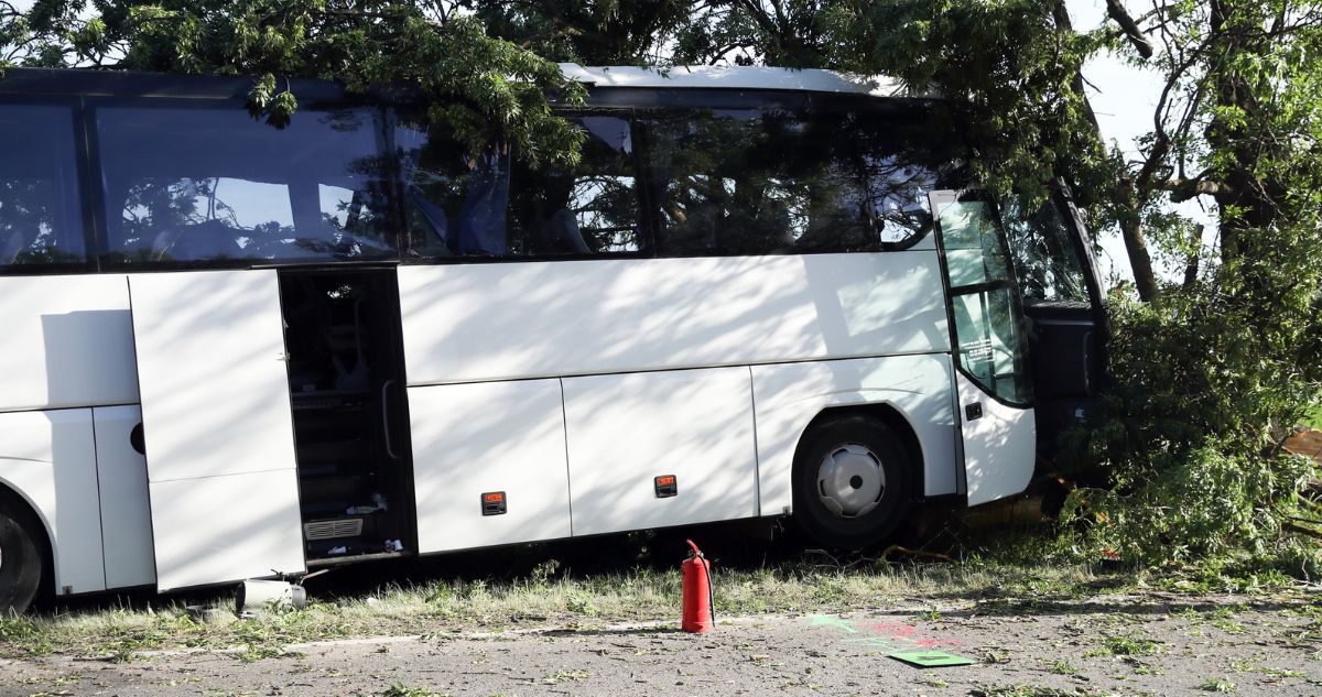 Sporolókat szállított a busz (Fotó: Facebook/BAMA.hu)