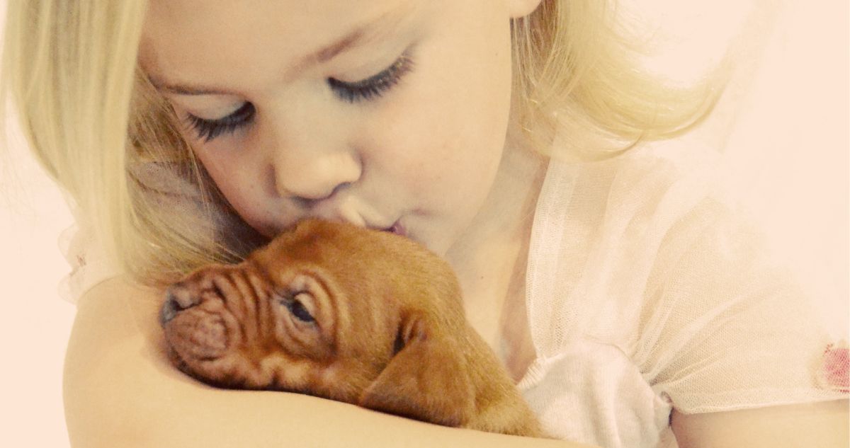 kutya nyitó - Gyerekszoba A magyar vizsla is tökéletes családi kutya